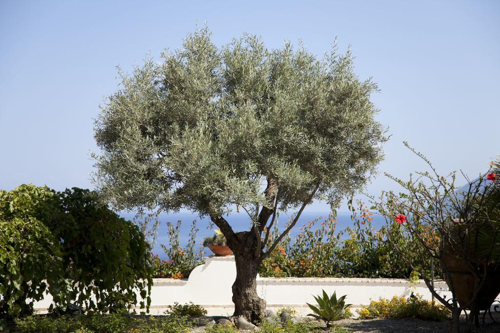 Hotel Villa Enrica - Aeolian Charme Lipari  Eksteriør bilde
